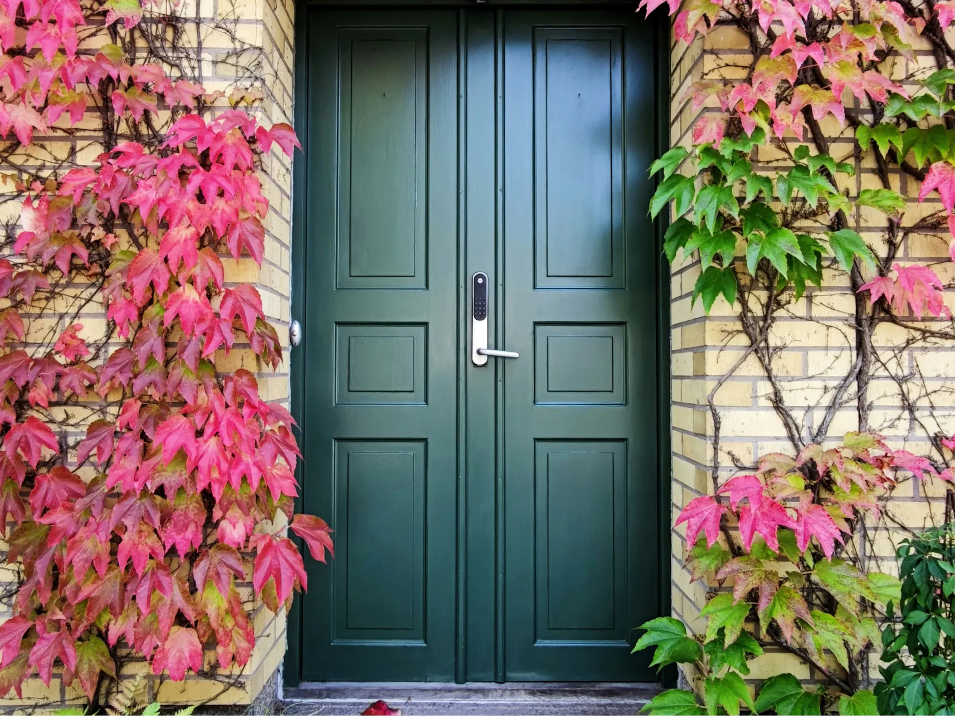 Vrata, okoli katerih so plezalne rastline
